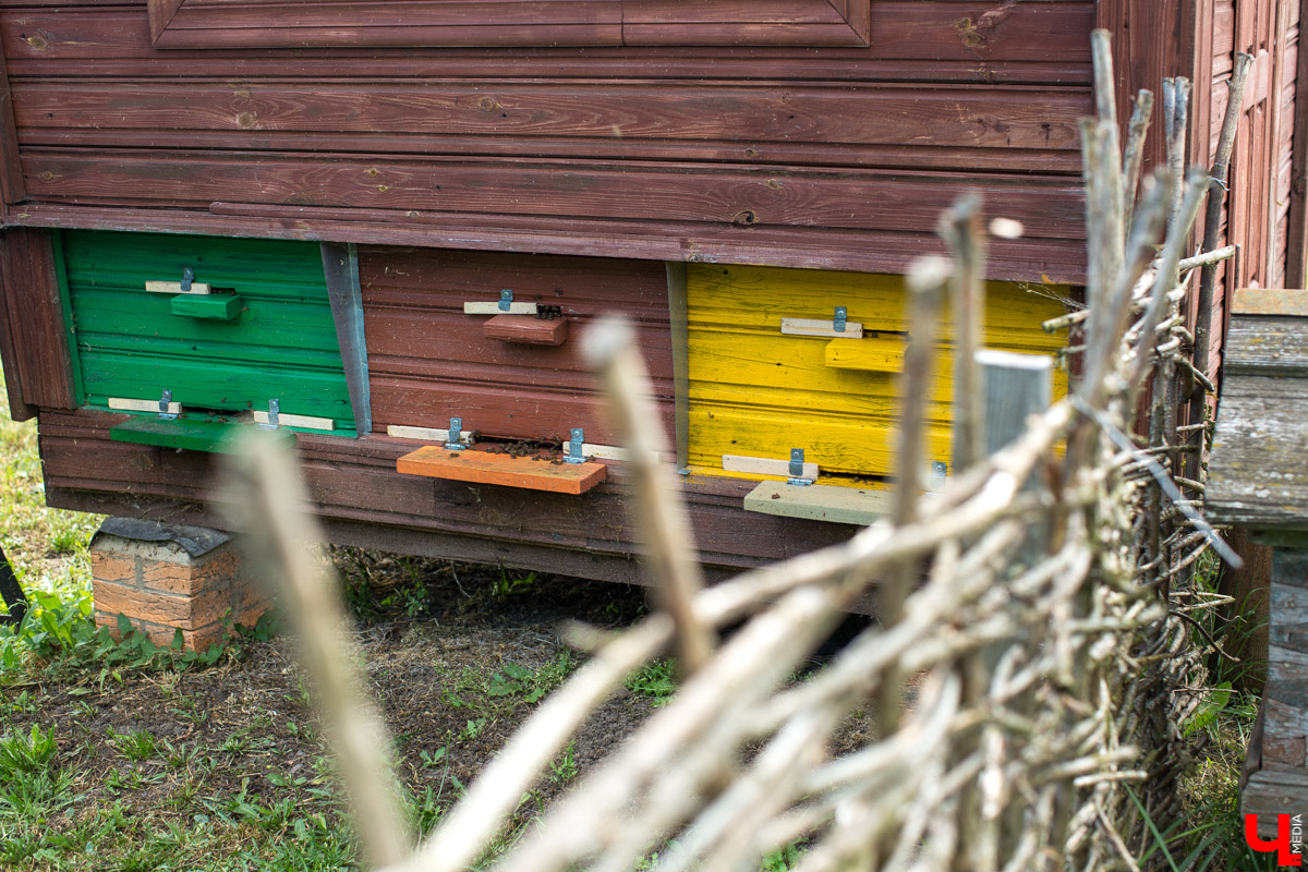 Журналист “Ключ-Медиа” на себе проверил, что такое аэроапитерапия и узнал, зачем люди ложатся спать на ульи с пчелами. Какую пользу приносит такой отдых рассказал пасечник из Владимирской области Николай Фадеев