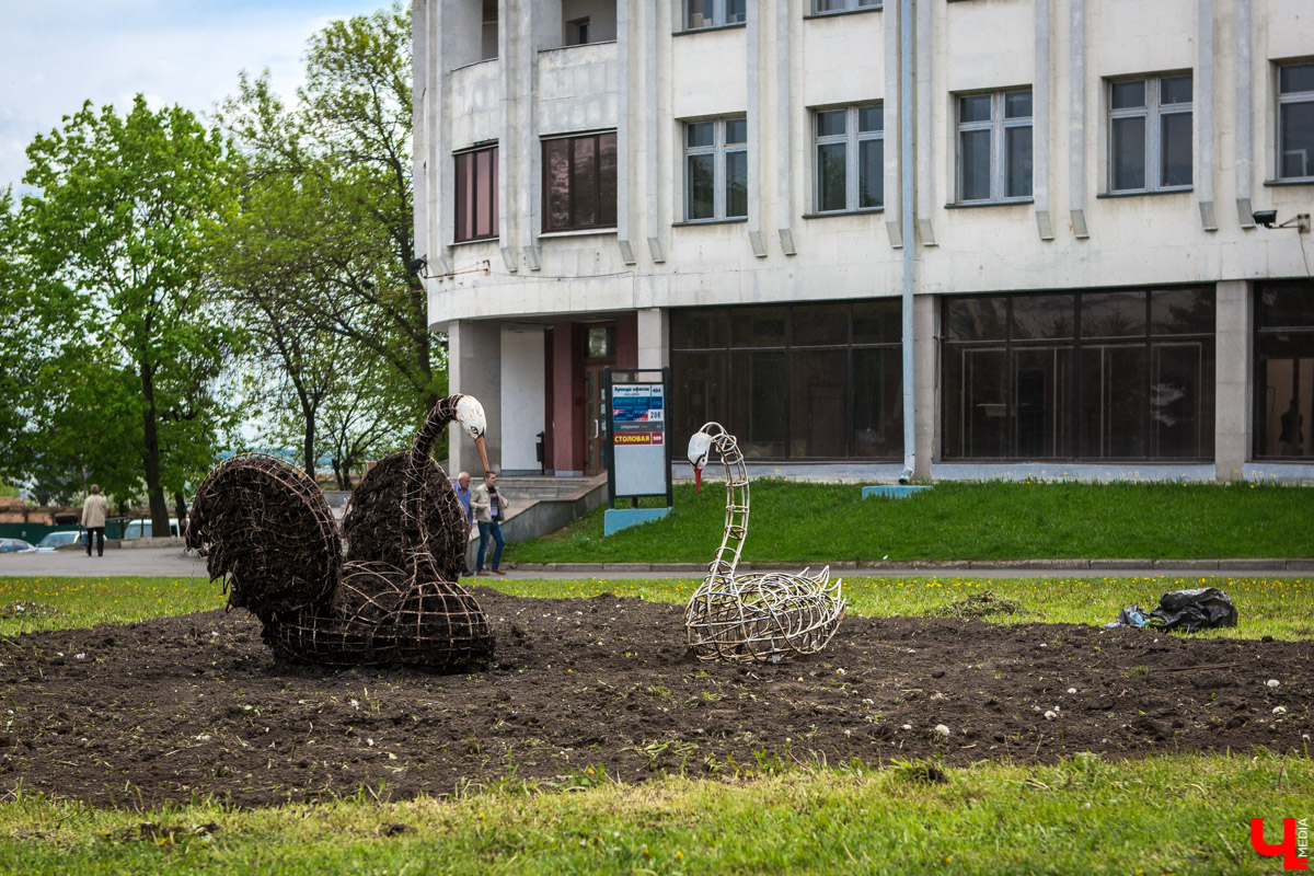 Цветники Владимира: где искать, когда смотреть? 