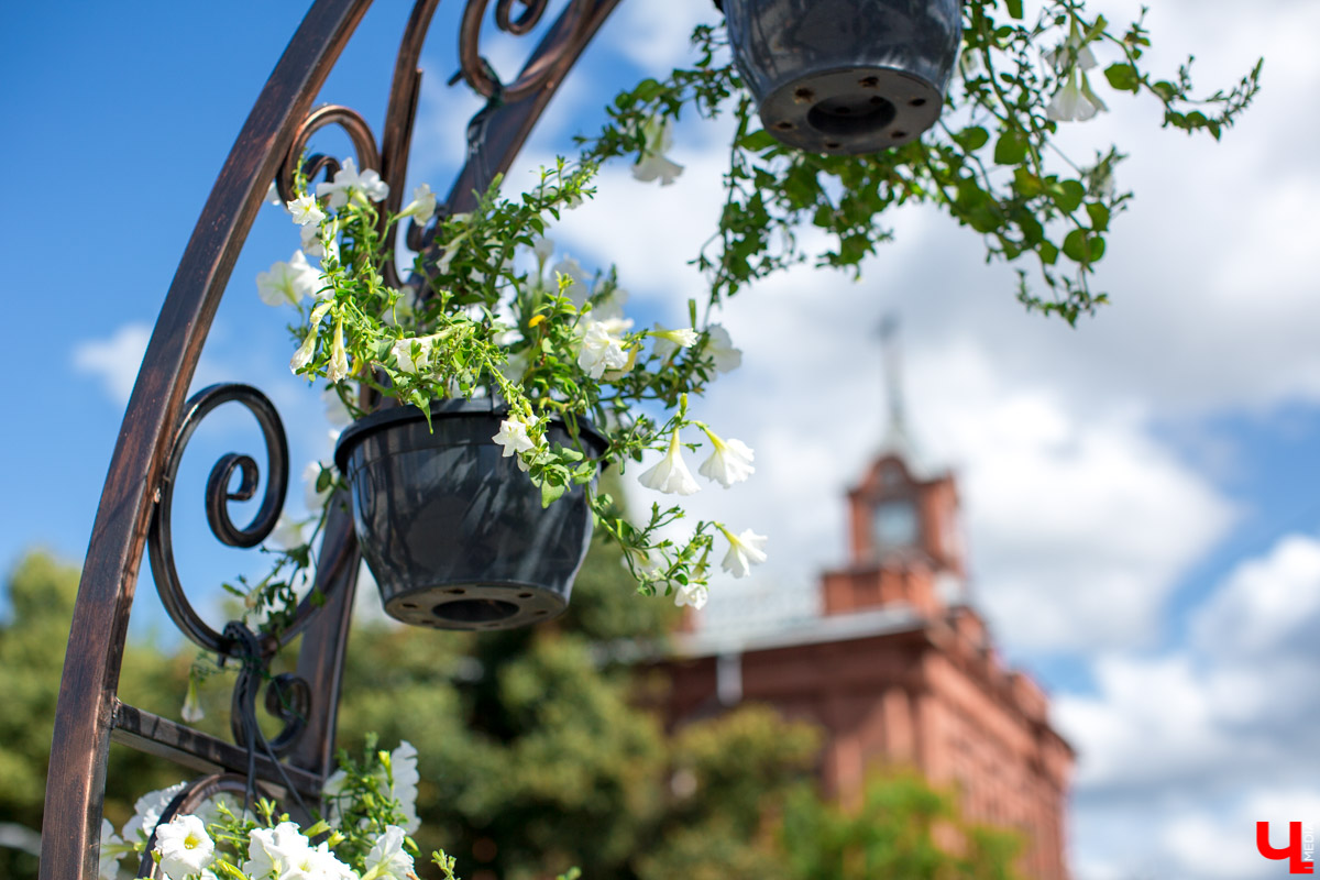 Арки для влюбленных в центре Владимира