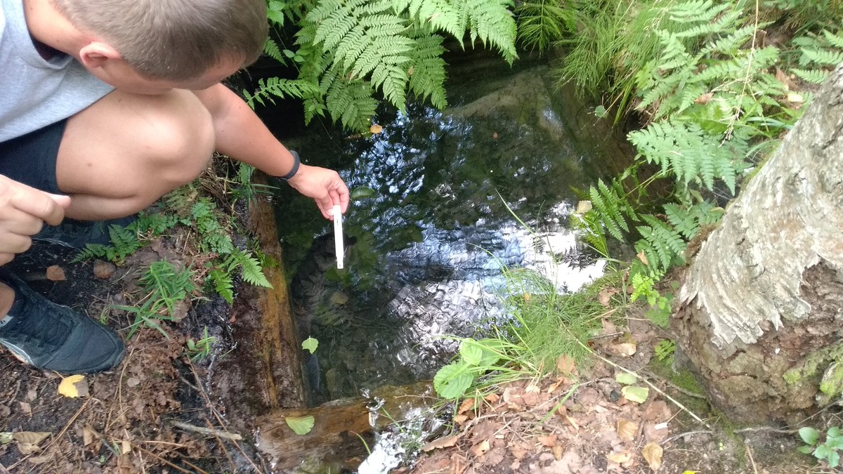 Истории о родниках с целебной водой - не редкость, вот и мы собрали информацию о трех таких источниках. А заодно узнали: чем действительно удивительна эта вода