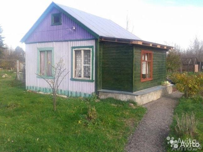 Снять дачу на лето: бассейн, лес, пруд, караси прилагаются