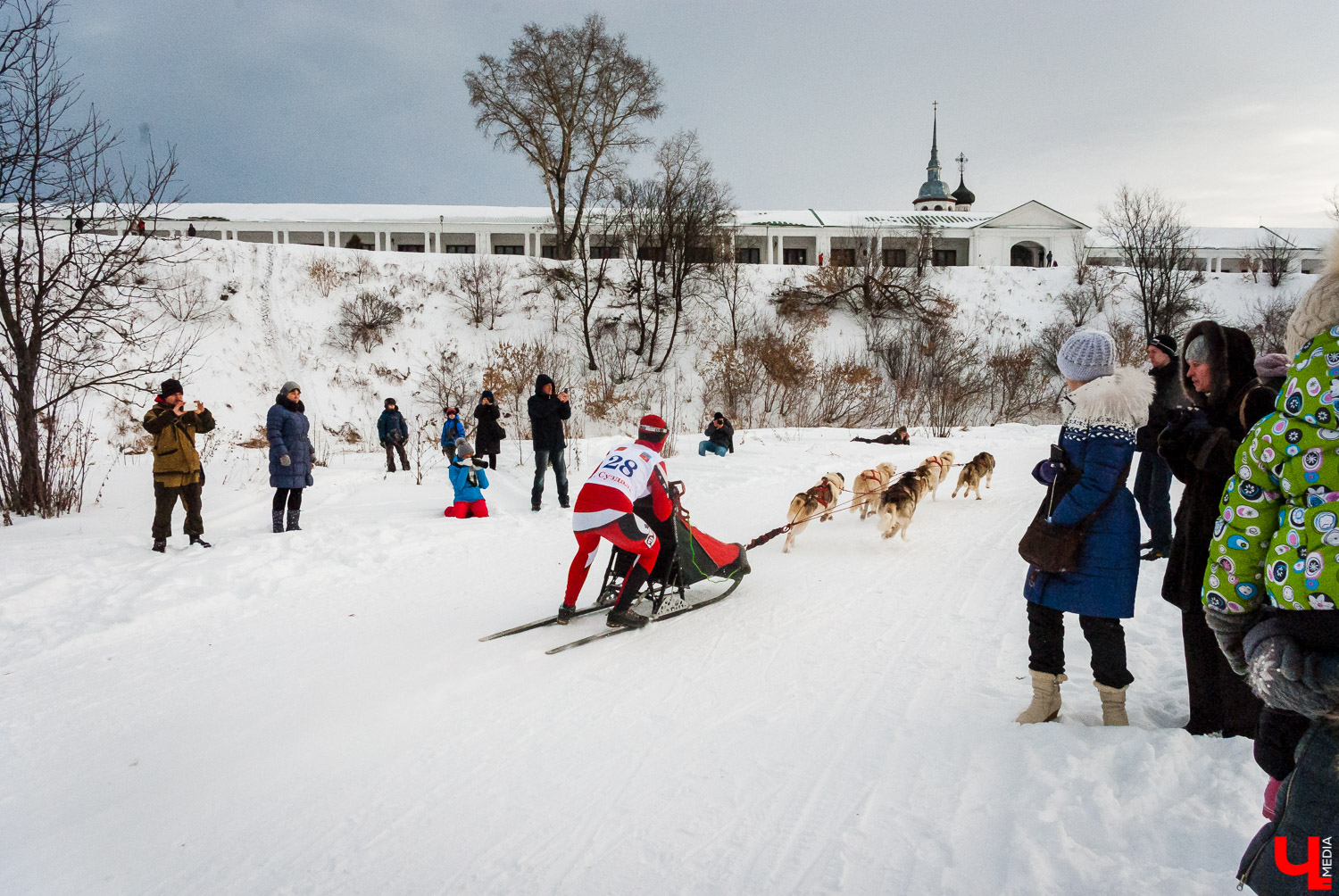 Гонки на собачьих упряжках в Суздале Гонки на собачьих упряжках в Суздале
