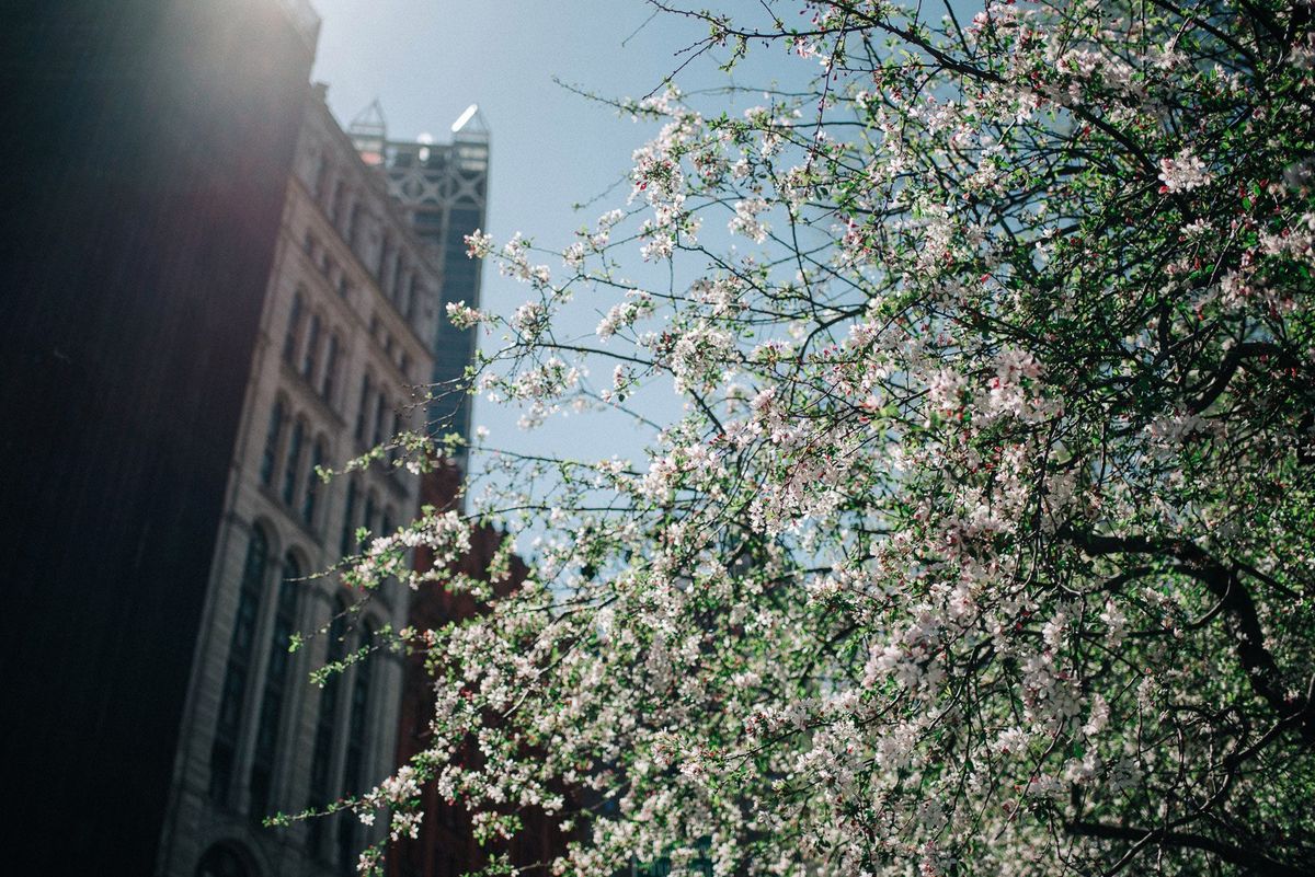 Владимирцы в Нью-Йорке. Чем дышат Бруклин и Манхэттен?