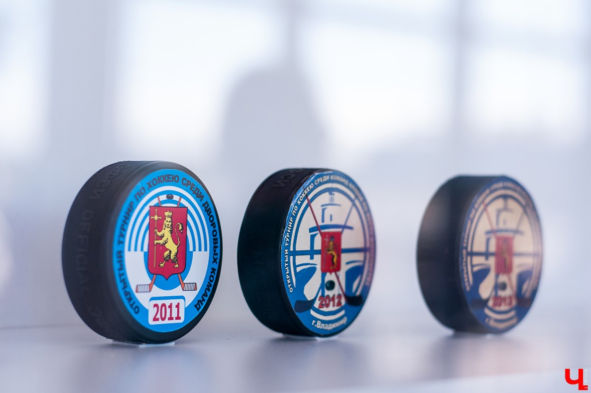 25 августа в городе открылся новый ледовый комплекс “Владимир”. На его открытие приехали известный советский хоккеист Александр Якушев и не менее известный художник Никас Сафронов