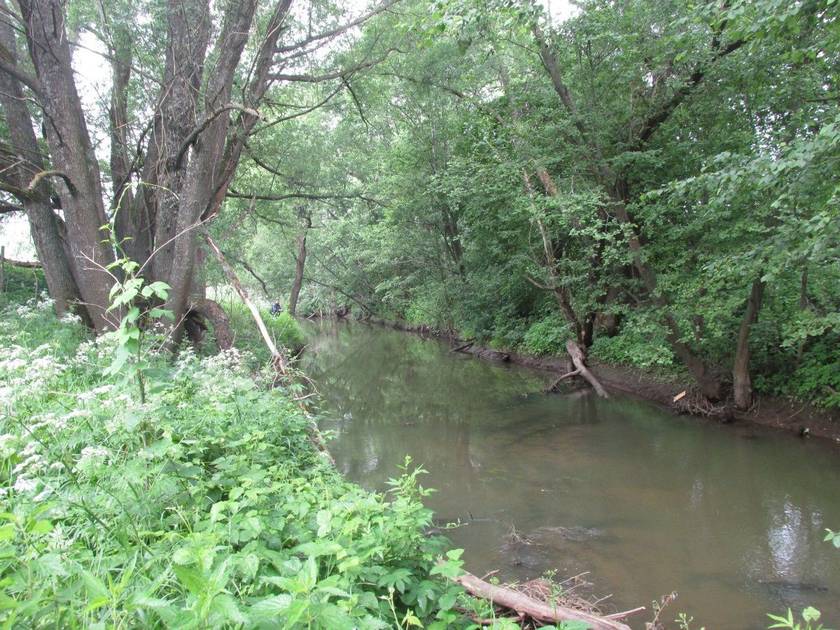 Владимирский блогер-рыболов о рыбных местах и этике лова