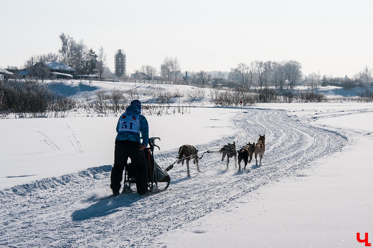 «Суздальский луг» 2018