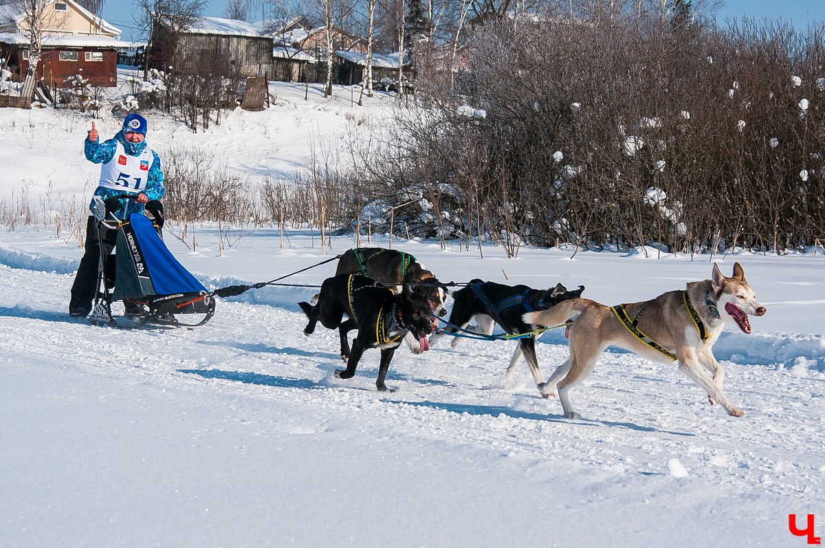 «Суздальский луг» 2018