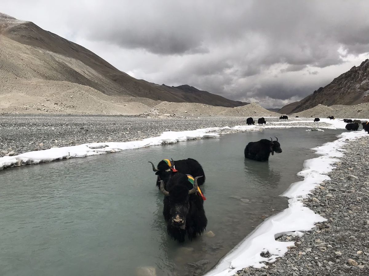 Покорение Эвереста