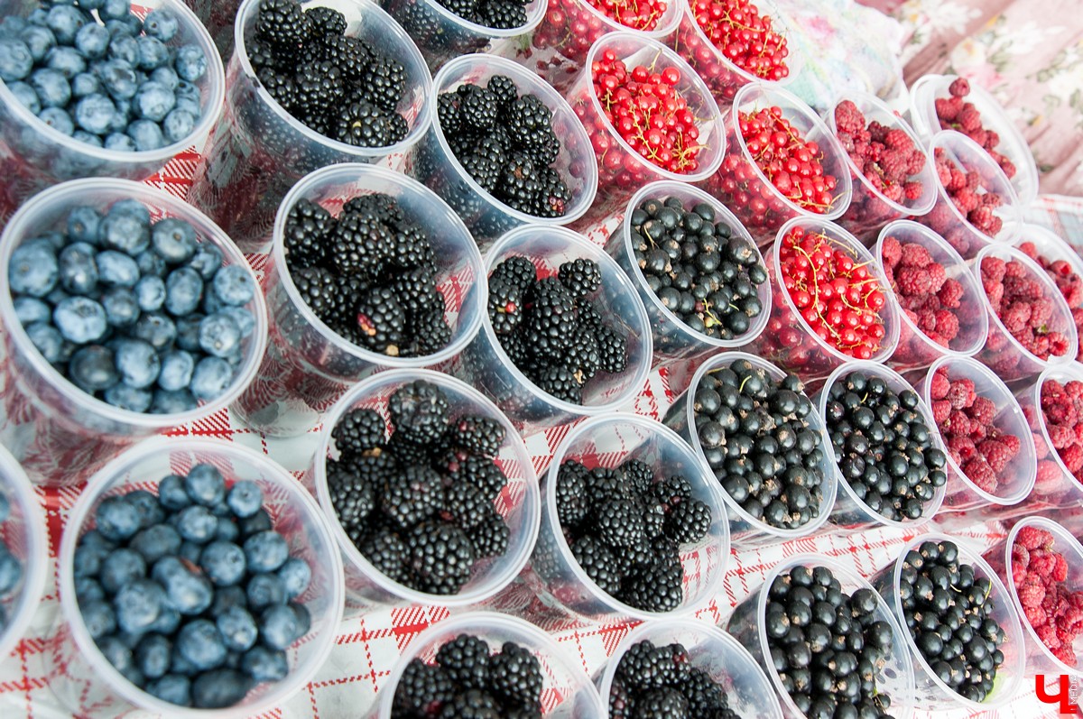 15 июля во Владимире прошел Вишневый спас. В этом году он совпал с окончанием чемпионата мира по футболу, и владимирцы решили отметить это событие по-спортивному