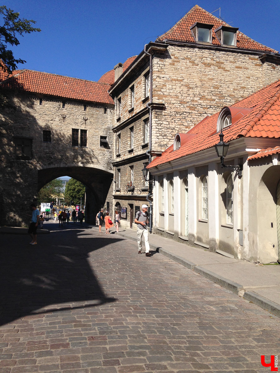 Корреспондент “Ключ-Медиа” съездил на велосипеде в путешествие по Эстонии и подсчитал, много ли удалось сэкономить выбором такого способа передвижения