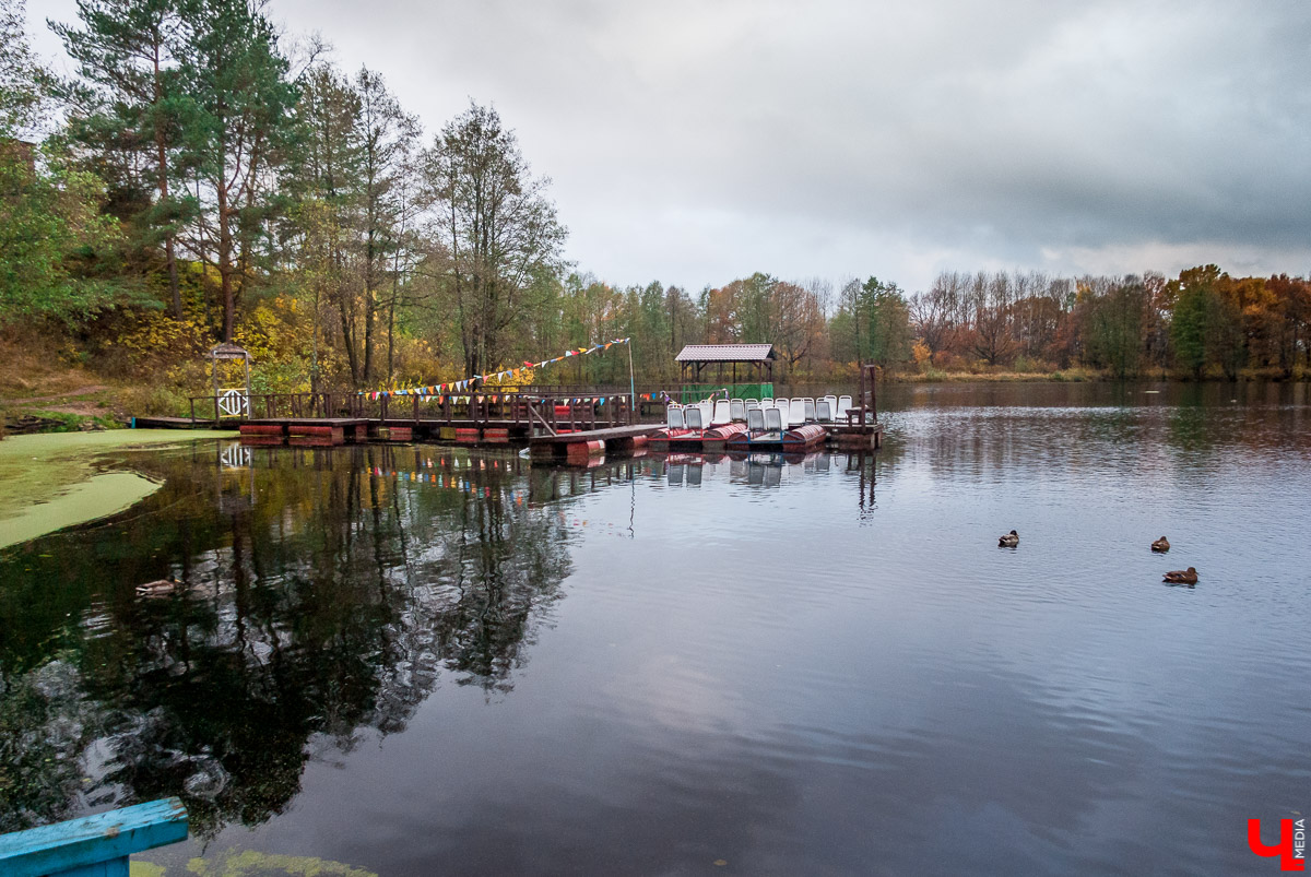 Загородный парк с Ярославом Чесноковым