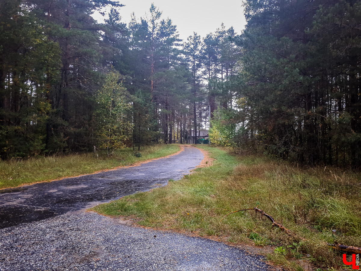 В лесу в Суздальском районе мы случайно набрели на пионерский лагерь “Юность”, который несколько лет простоял заброшенным. Мародеры до него не добрались, а потому постройки остались целыми