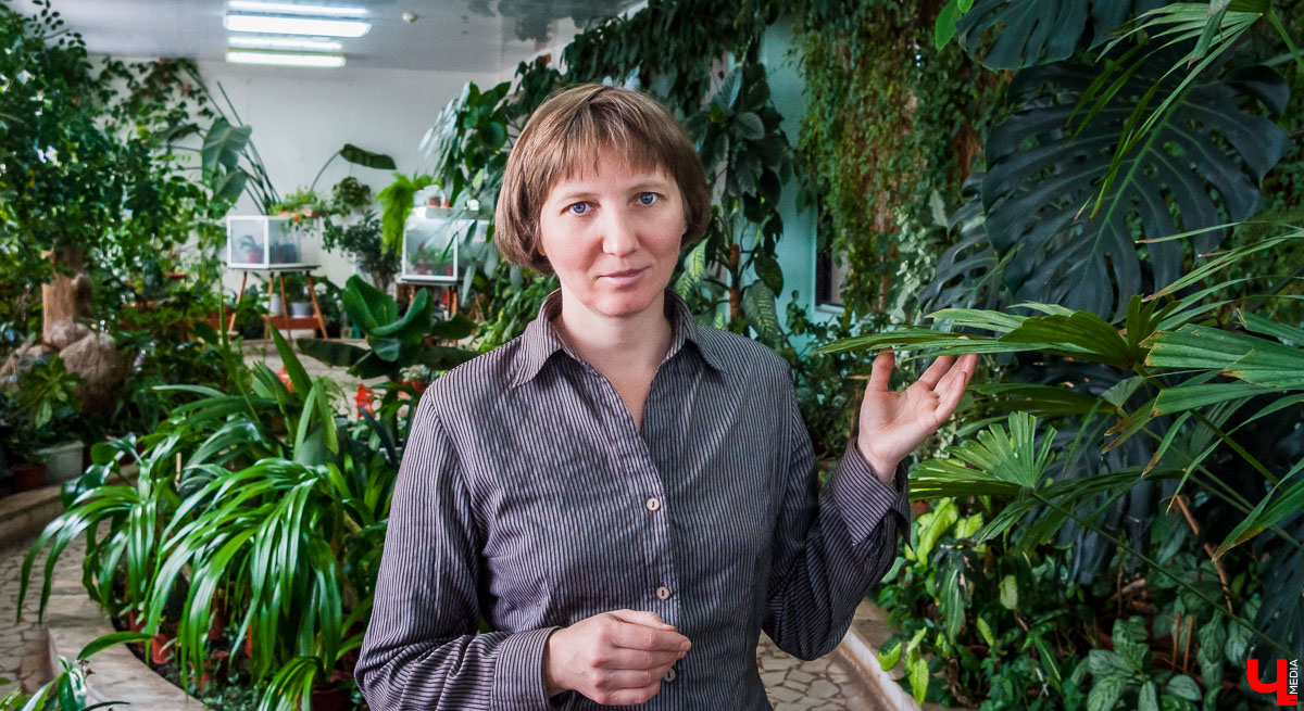 Зимний сад во Владимире