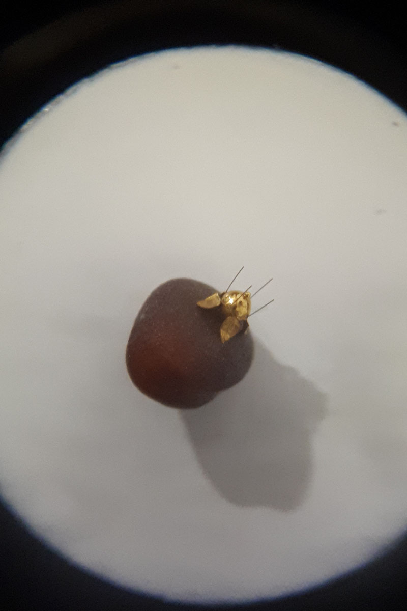 До 18 августа во Владимире можно увидеть подкованную блоху и другие микроминиатюры русского мастера Владимира Анискина. Корреспондент “Ключ-Медиа” побывал на выставке и сделал фоторепортаж