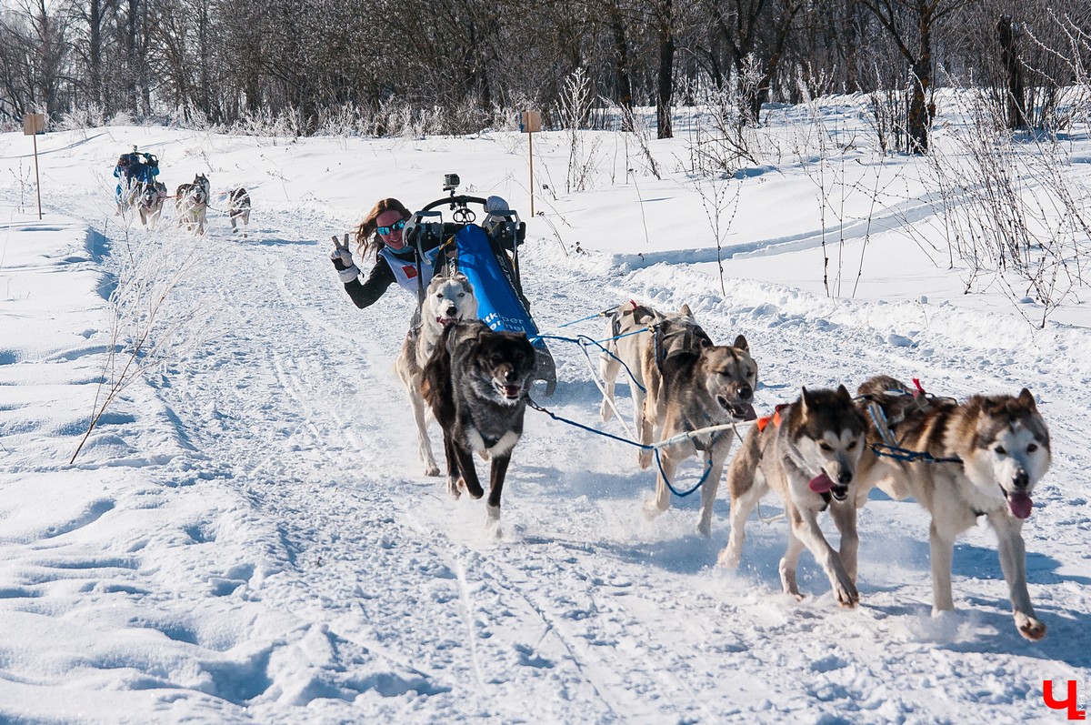 «Суздальский луг» 2018