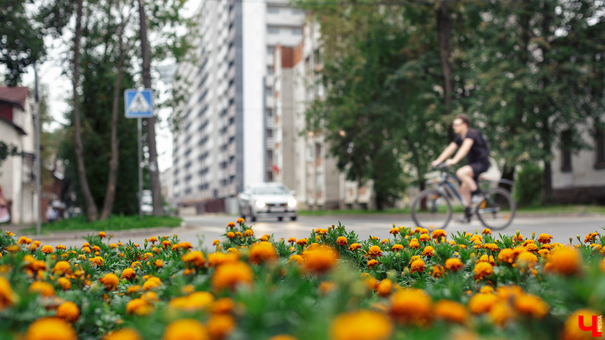 Корреспондент “Ключ-Медиа” прогулялась по улице Северной с двумя жительницами Владимира. Жена и мама малыша, а также не обремененная семейными обязательствами молодая девушка - обе высказали свою точку зрения о жизни в этом районе