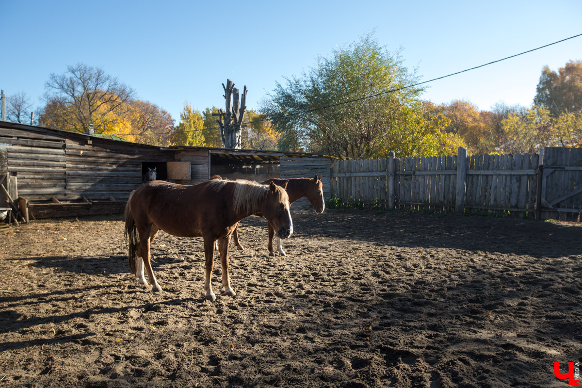 Интервью с Владимиром Фомичевым, главой клуба исторической реконструкции “Рыцарское копье”