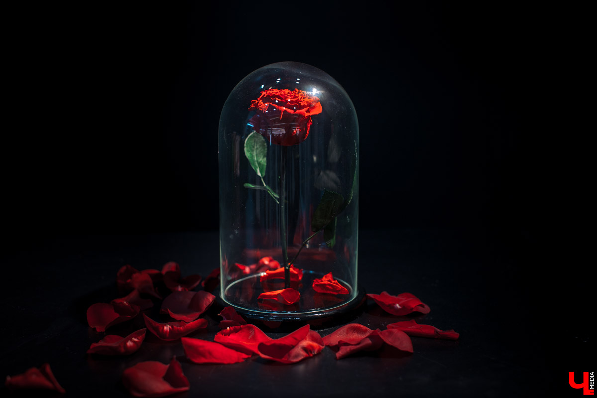 Салон флористики “Краснова” во Владимире