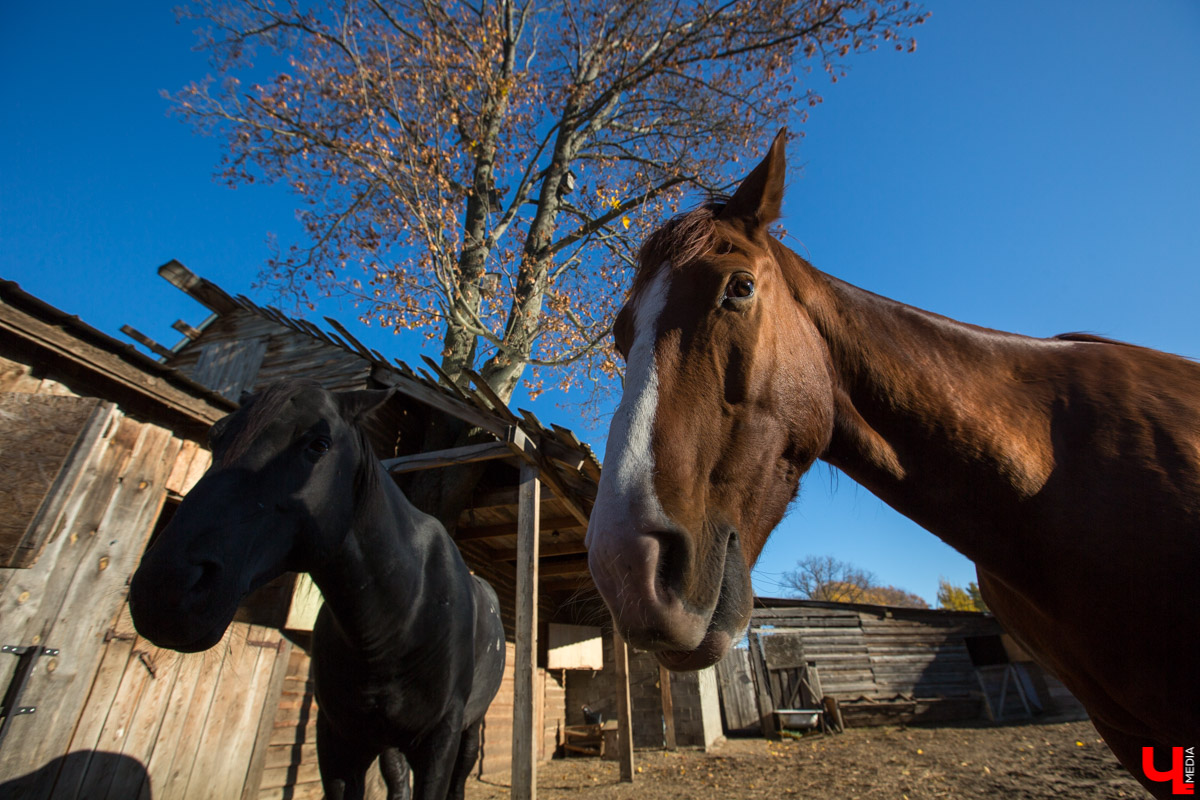 Интервью с Владимиром Фомичевым, главой клуба исторической реконструкции “Рыцарское копье”