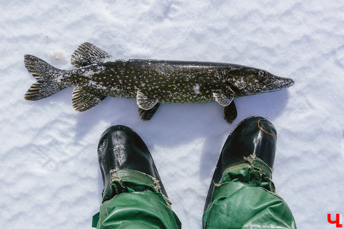 Зимняя рыбалка