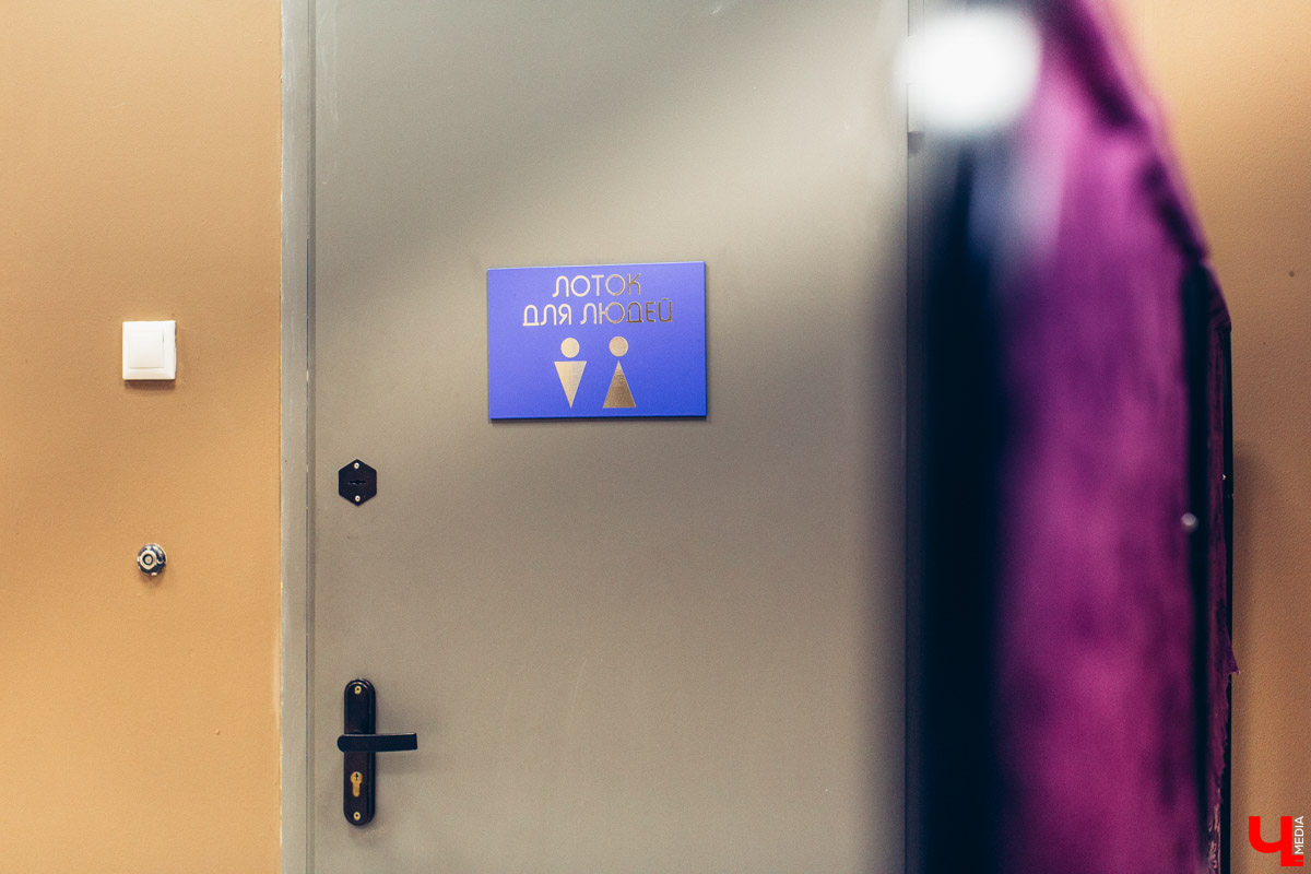 Котокафе «Котангенс» во Владимире