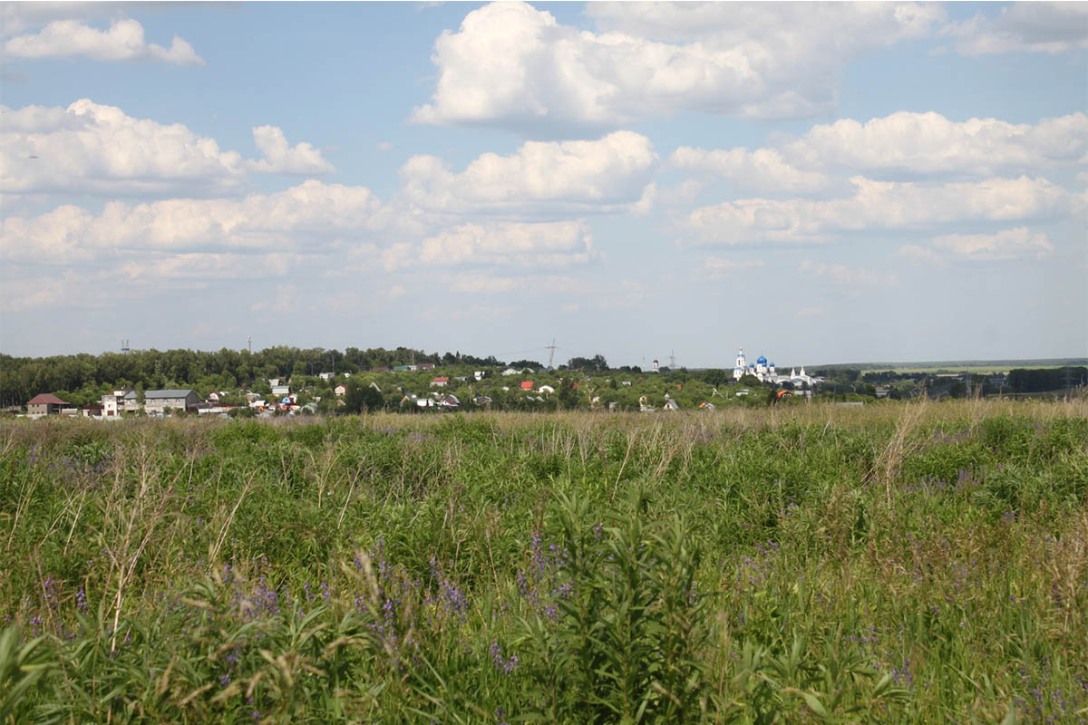 На восточной окраине Владимира есть непримечательное большое поле, на котором располагается стоянка Сунгирь. Это стоянка древнего человека. Алексей Алексеев рассказал «Ключ-Медиа», в каком состоянии находится памятник