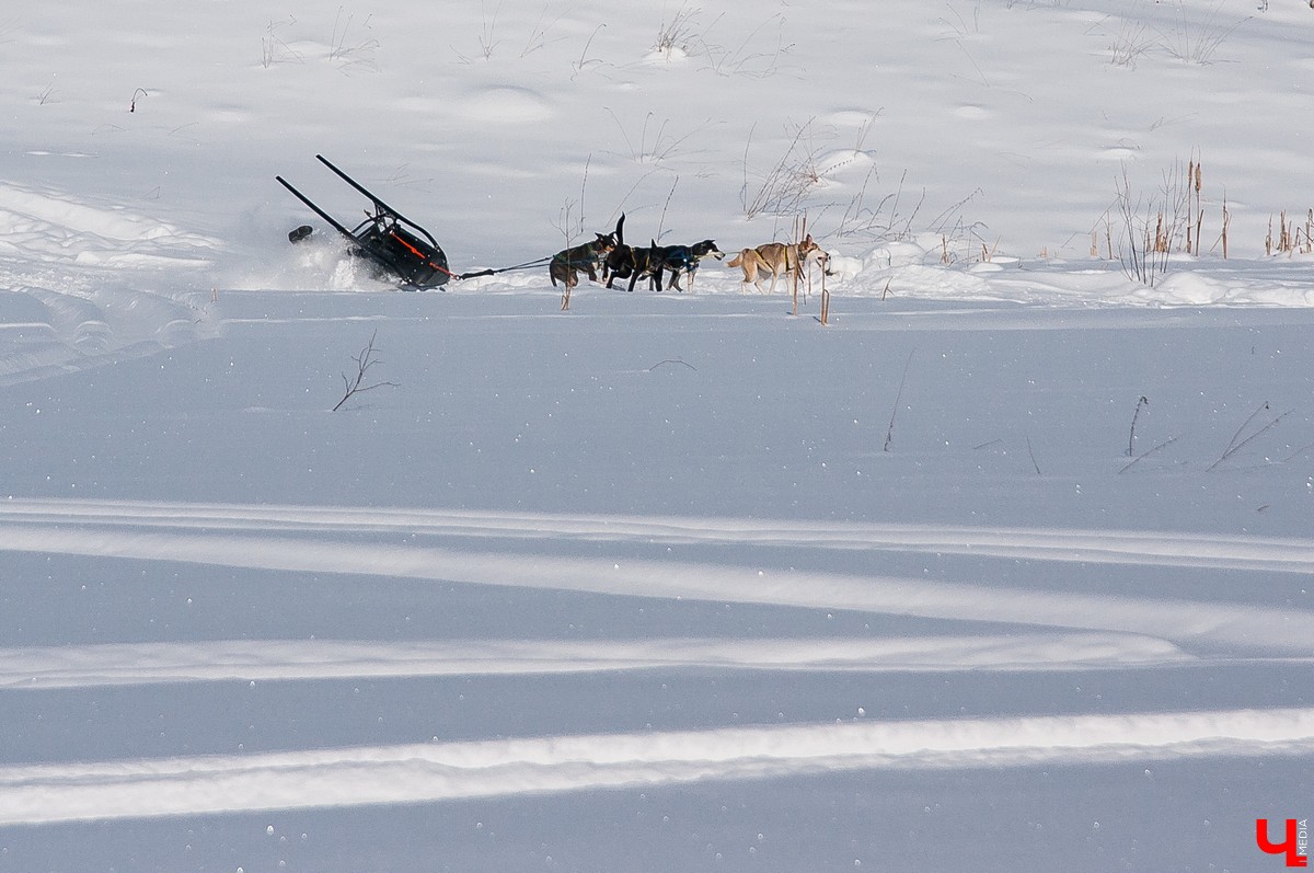 «Суздальский луг» 2018