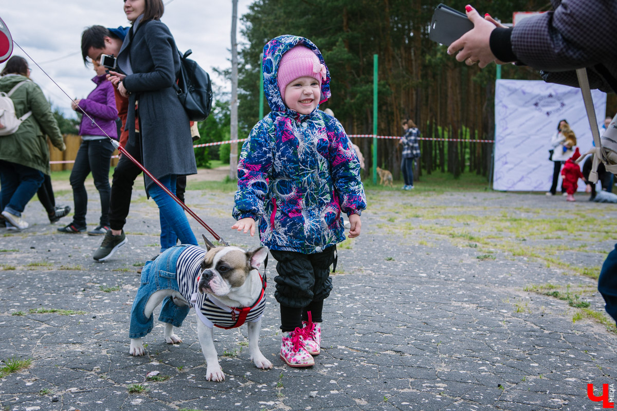 Собачьи нежности во Владимире: самые любвеобильные участники «Собаки-обнимаки»