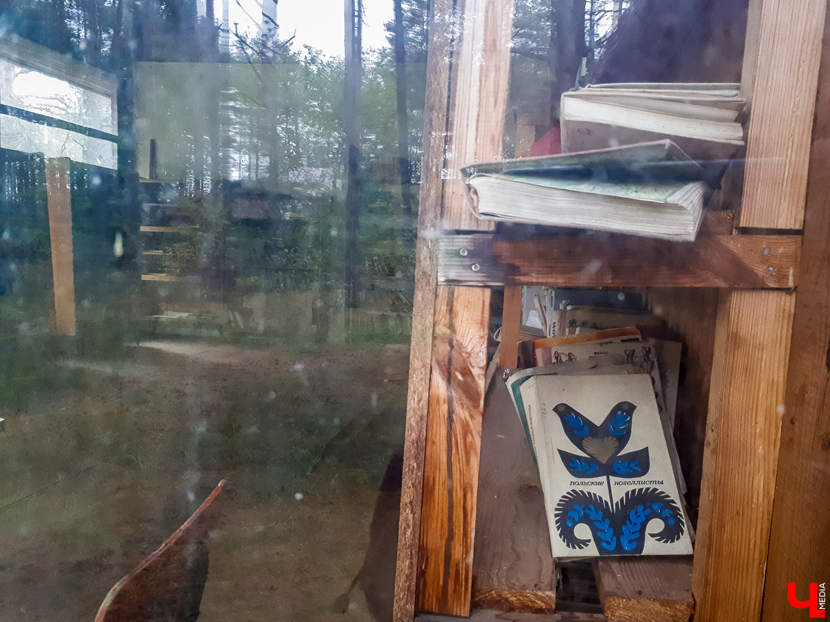 В лесу в Суздальском районе мы случайно набрели на пионерский лагерь “Юность”, который несколько лет простоял заброшенным. Мародеры до него не добрались, а потому постройки остались целыми