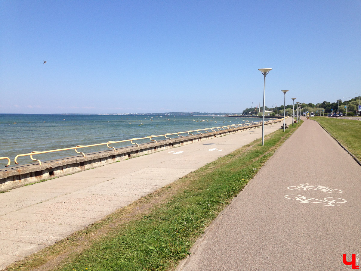 Корреспондент “Ключ-Медиа” съездил на велосипеде в путешествие по Эстонии и подсчитал, много ли удалось сэкономить выбором такого способа передвижения