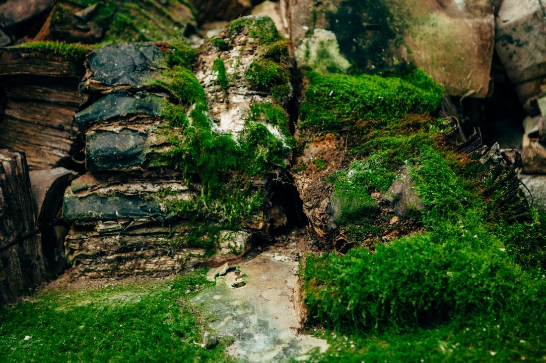 Lost33: заброшенные места Владимирской области