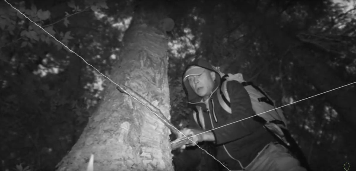 Известный актер и ведущий Сергей Дружко опубликовал в своем блоге на Youtube видео о путешествии по урочищу Шушмор на границе Московской и Владимирской областей. Выпуск посвящен мистическим историям, связанным с этой местностью