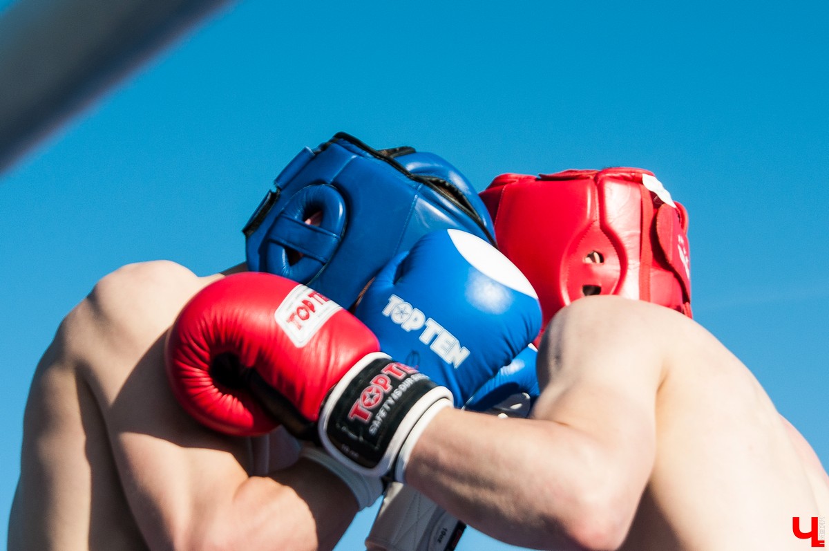 Чемпионат по кикбоксингу во Владимире