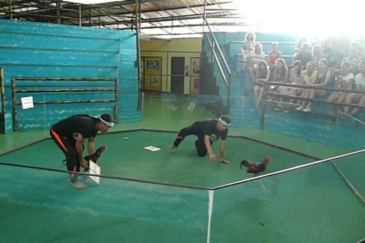 Отдых в Таиланде