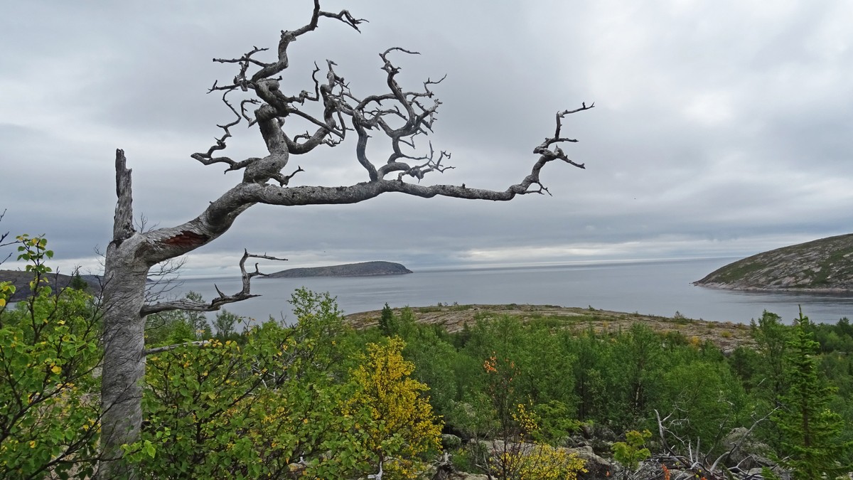 Капитан тримарана “Пола” Дмитрий Козлов, совершивший путешествие из Баренцева в Белое море, рассказал о том, страшно ли двое суток идти в шторм, стоит ли бояться медведей и какая рыба клюет в северном океане
