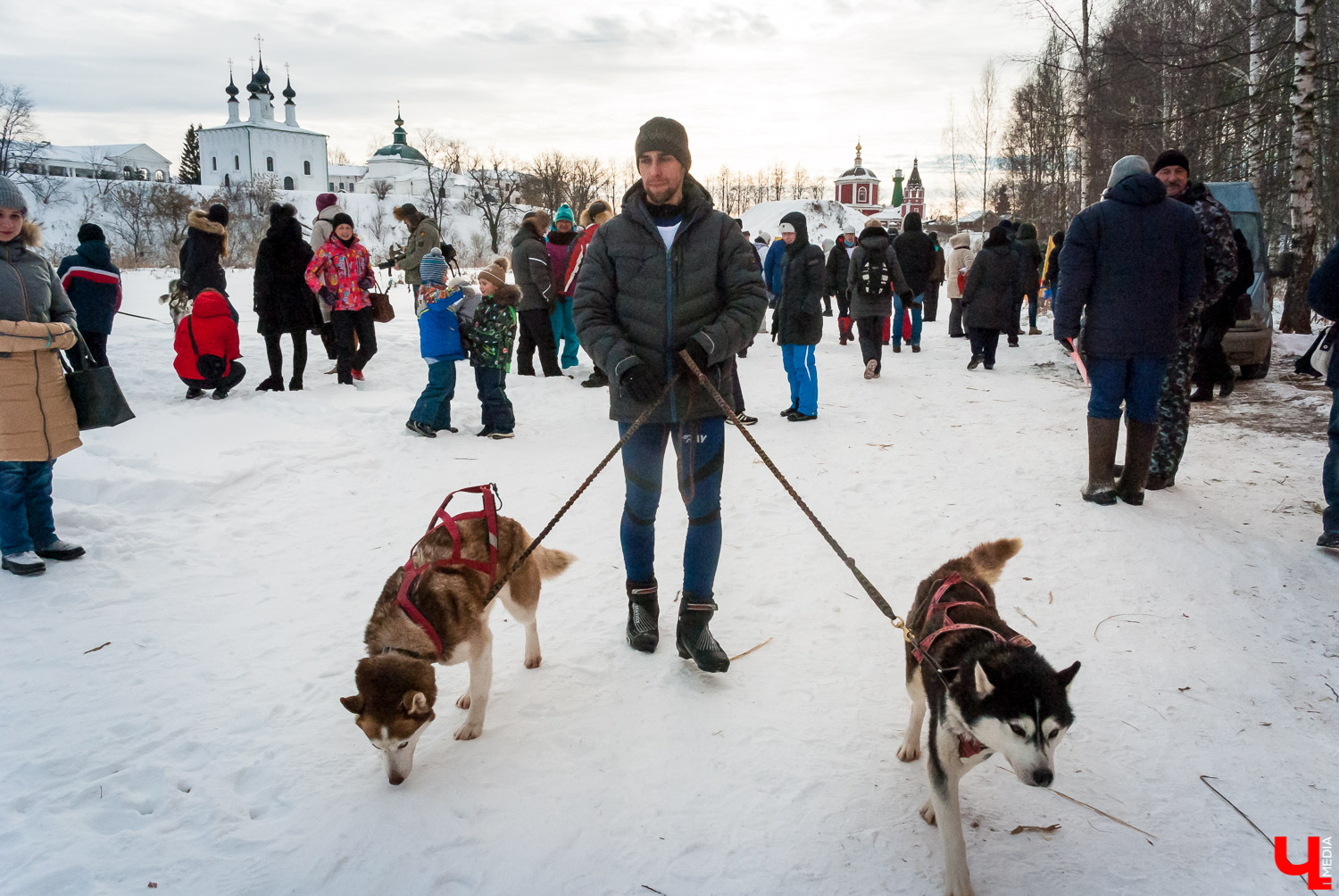 Гонки на собачьих упряжках в Суздале Гонки на собачьих упряжках в Суздале