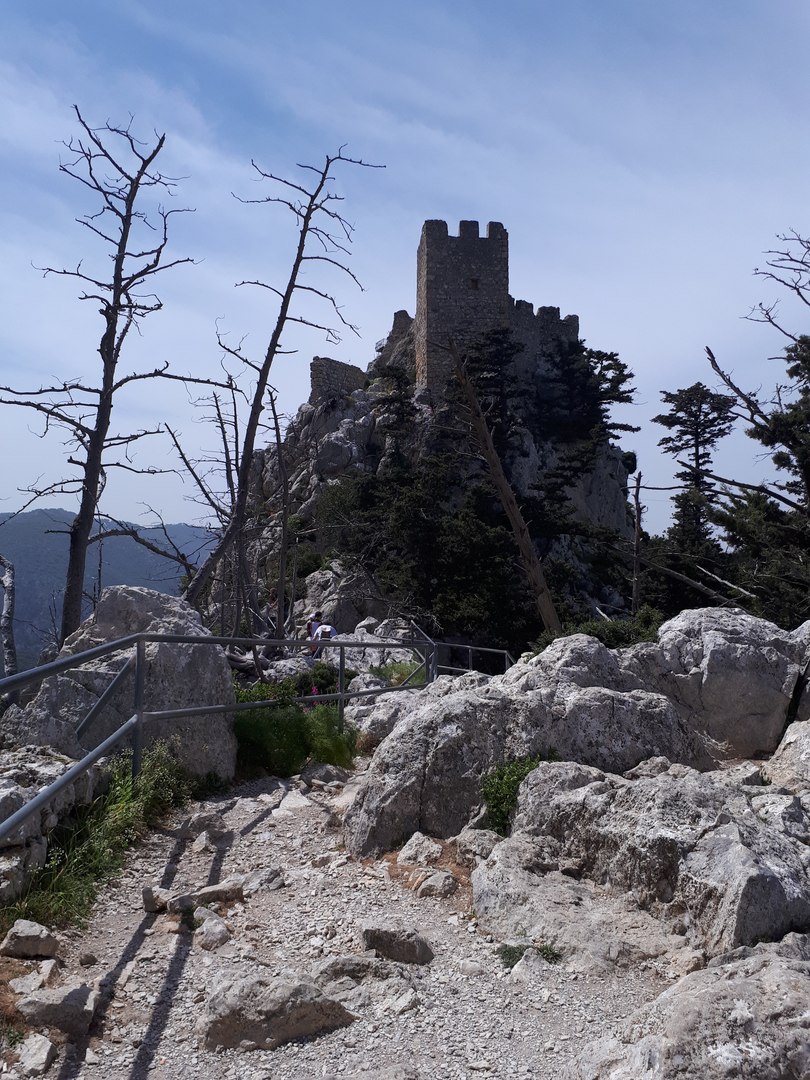 Жительницы Владимира отдохнули на Северном Кипре и поделились впечатлениями