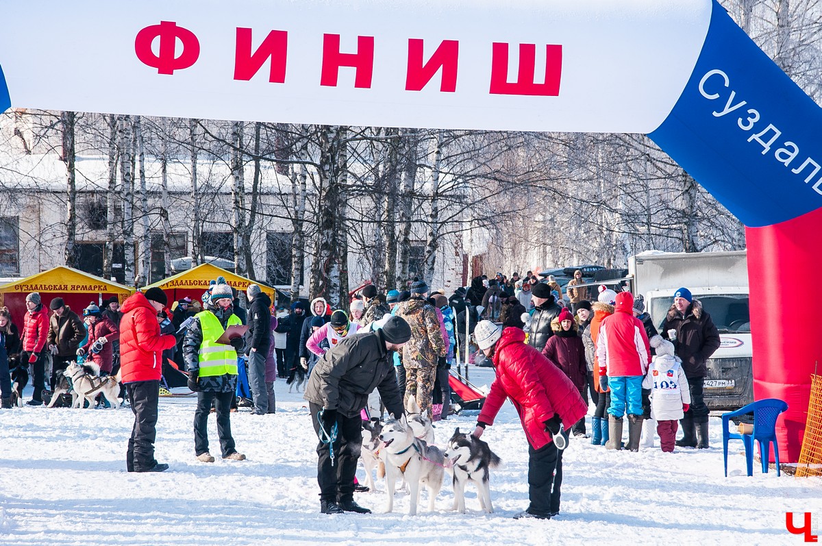 «Суздальский луг» 2018