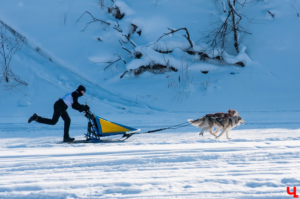 «Суздальский луг» 2018