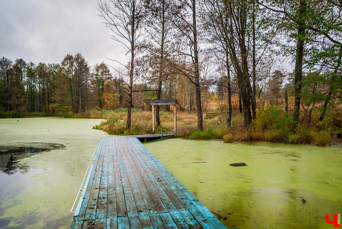 Загородный парк с Ярославом Чесноковым