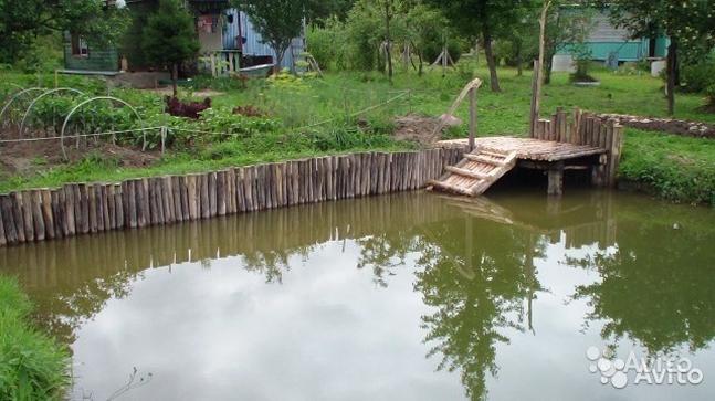 Снять дачу на лето: бассейн, лес, пруд, караси прилагаются