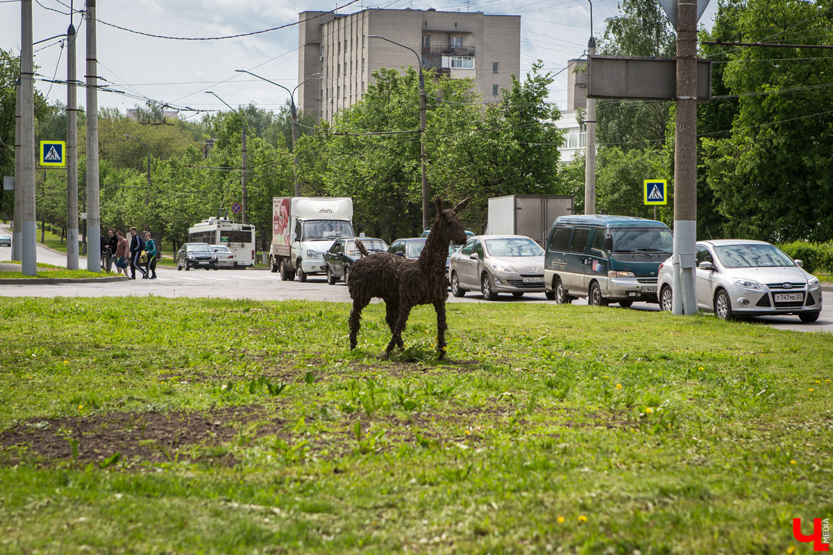 Цветники Владимира: где искать, когда смотреть? 