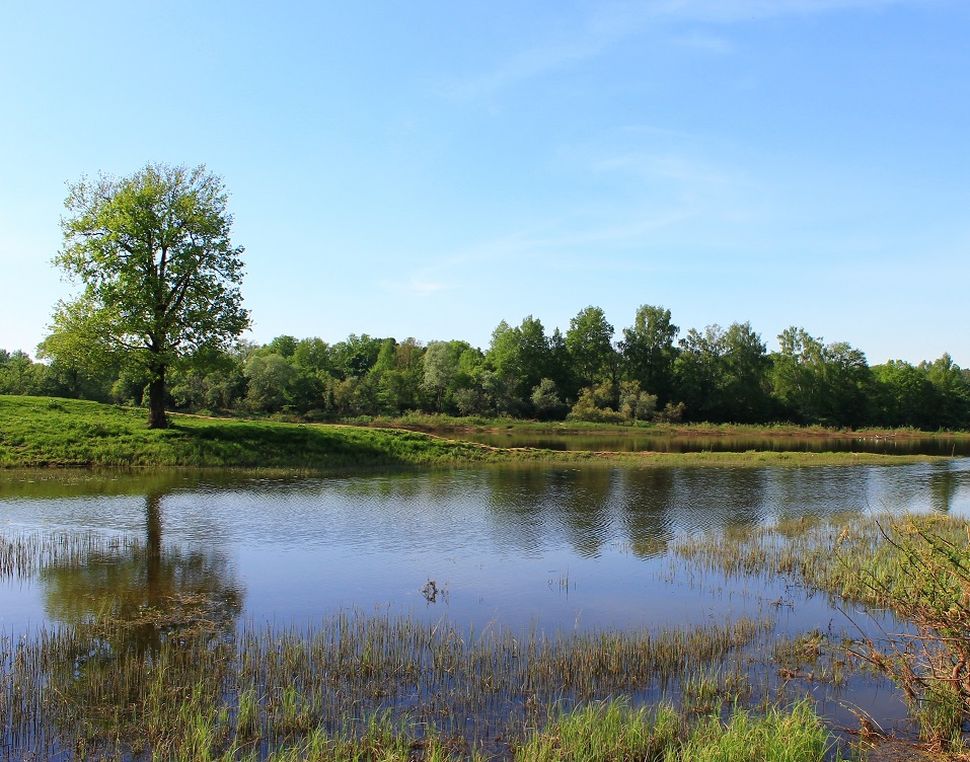 Спас-Купалище