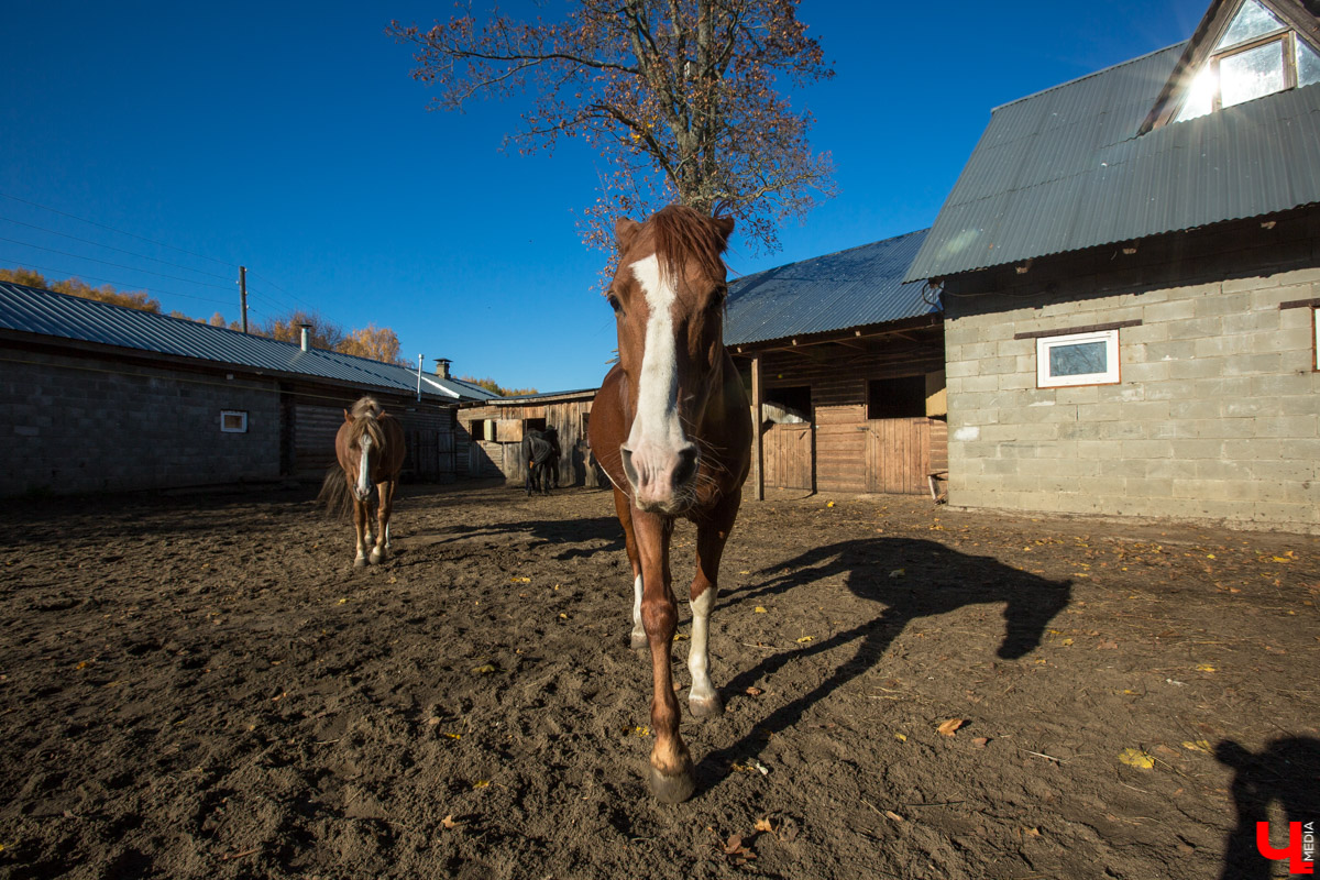Интервью с Владимиром Фомичевым, главой клуба исторической реконструкции “Рыцарское копье”