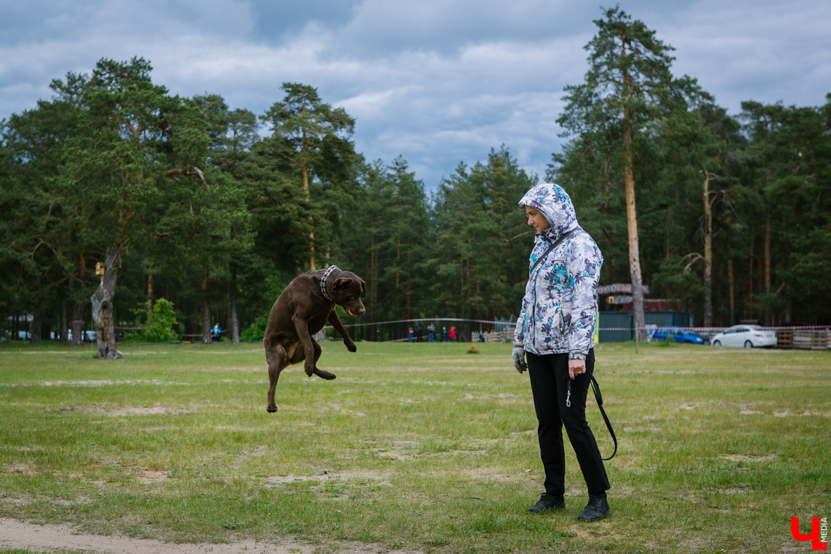 Собачьи нежности во Владимире: самые любвеобильные участники «Собаки-обнимаки»
