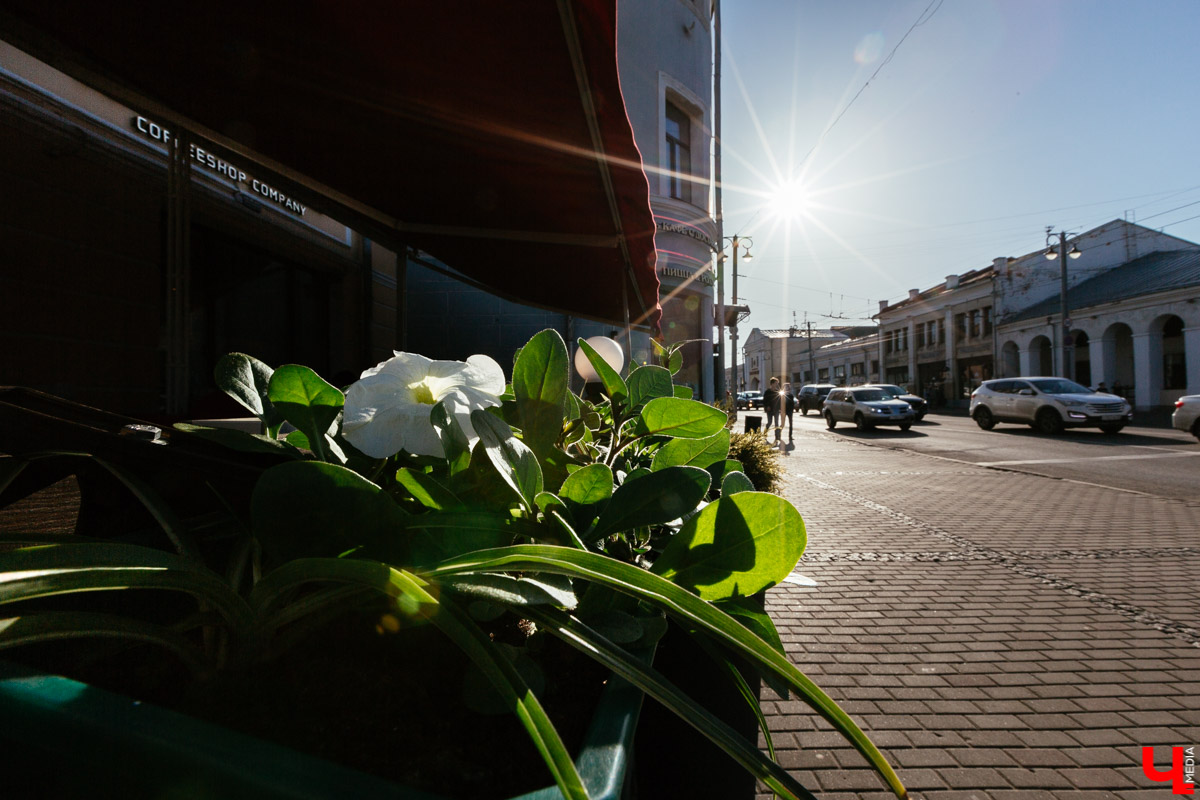 кофейня Coffeeshop Company во Владимире