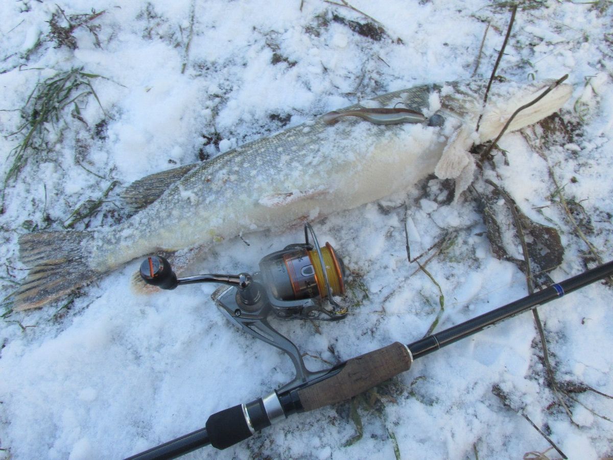Владимирский блогер-рыболов о рыбных местах и этике лова