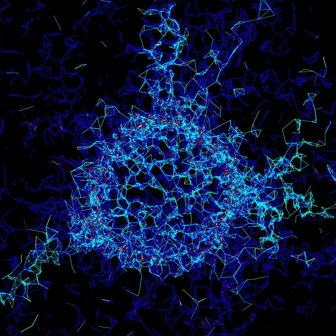 Владимирец Егор Дзюбенко живет в Германии и руководит научными исследованиями. В интервью биофизик рассказал о работе за границей и особенностях быта