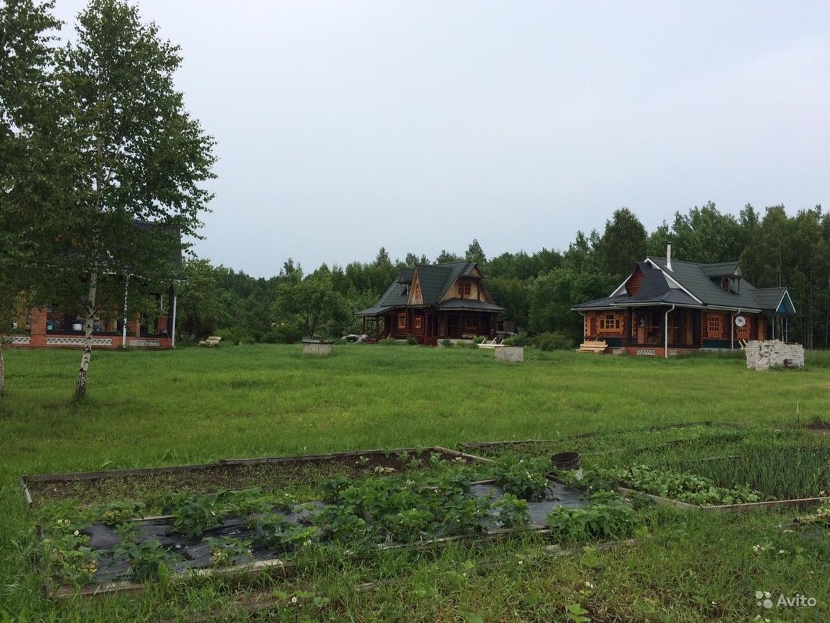 Снять дачу на лето: бассейн, лес, пруд, караси прилагаются