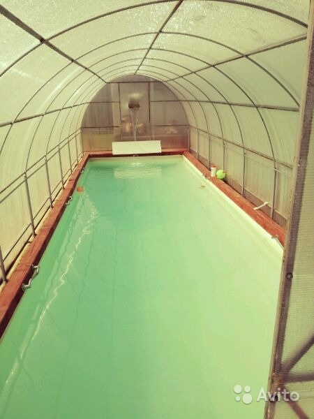 Снять дачу на лето: бассейн, лес, пруд, караси прилагаются